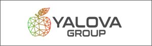 YALOVA GROUP
